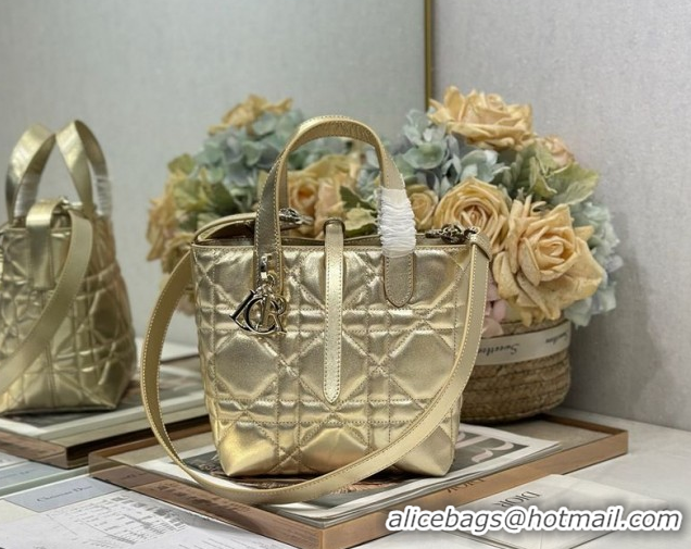 Good Product Dior Small Toujours Vertical Tote Bag in Macrocannage Calfskin Gold-Tone 0126095 2026