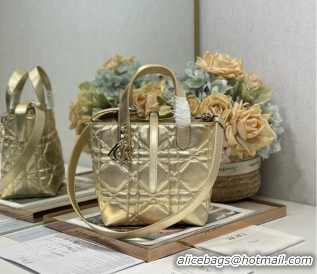 Good Product Dior Small Toujours Vertical Tote Bag in Macrocannage Calfskin Gold-Tone 0126095 2026