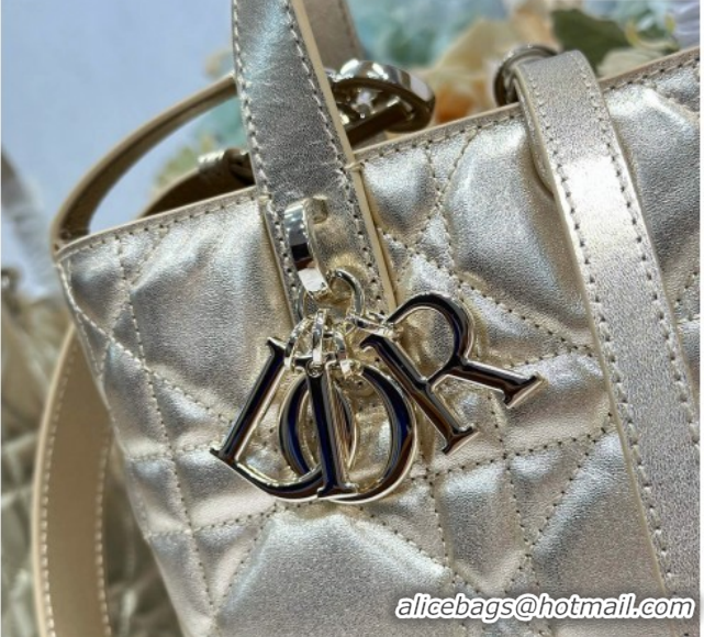 Good Product Dior Small Toujours Vertical Tote Bag in Macrocannage Calfskin Gold-Tone 0126095 2026