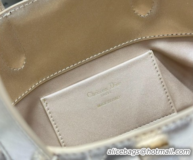 Good Product Dior Small Toujours Vertical Tote Bag in Macrocannage Calfskin Gold-Tone 0126095 2026