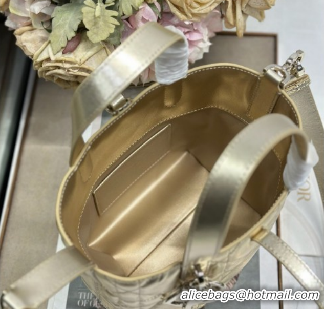 Good Product Dior Small Toujours Vertical Tote Bag in Macrocannage Calfskin Gold-Tone 0126095 2026