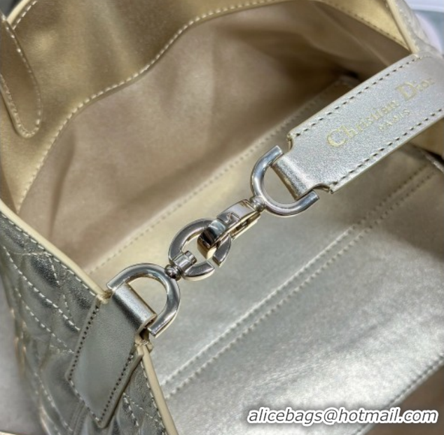 Classic Hot Dior Small Toujours Tote bag in Macrocannage Calfskin Leather 60126101 Gold-Tone 2026