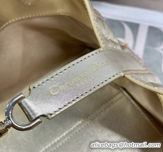 Classic Hot Dior Small Toujours Tote bag in Macrocannage Calfskin Leather 60126101 Gold-Tone 2026