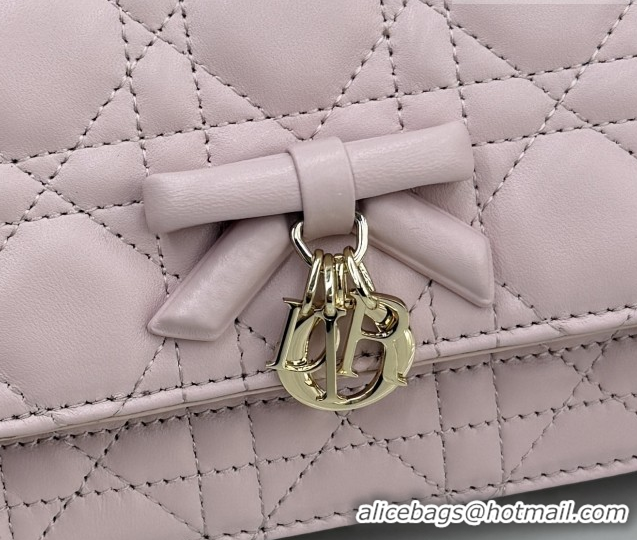 Sophisticated Dior My Dior Mini Bag in Cannage Lambskin Leather Soft 0126103 Pink 2026