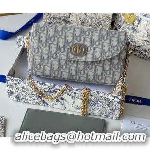 Top Design Dior 30 Montaigne Pouch with Chain Mini Bag in Oblique Jacquard Grey 0127019 2026