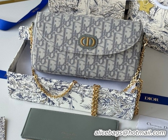 Top Design Dior 30 Montaigne Pouch with Chain Mini Bag in Oblique Jacquard Grey 0127019 2026