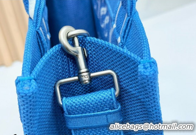 Hot Style Dior Medium Book Tote Bag in Blue and White Book Cover Embroidery 0127047 2026