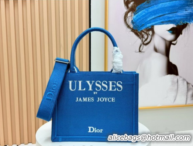 Sumptuous Dior Small Book Tote Bag in Blue and White Book Cover Embroidery 0127048 2026