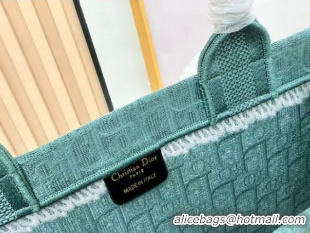 Trendy Design Dior Large Book Tote Bag in Green Oblique Embroidery with White Lace and Dior Médaillon 0127061 2026