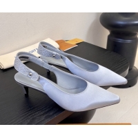 Luxurious Louis Vuit...