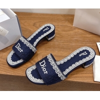 Stylish Dior Dentell...