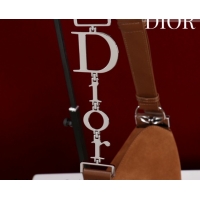 Luxury Dior Suede Small Shoulder Bag Caramel/Silver S1411 0124006 2026
