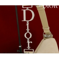 Luxurious Dior Suede Large Shoulder Bag L114144 Beige/Silver 2026
