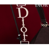 Purchase Dior Suede Large Shoulder Bag L114144 Dark Brown/Gold 026