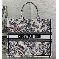Purchase Dior Large Book Tote Bag in Pink Souvenir de Rome Embroidery 0126073 2026
