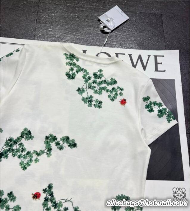 Dior Printed Cotton T-Shirt 0206 White/Green 2026
