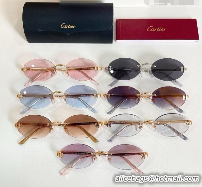 Luxury Discount Cartier Sunglasses CT0592S Black 2026