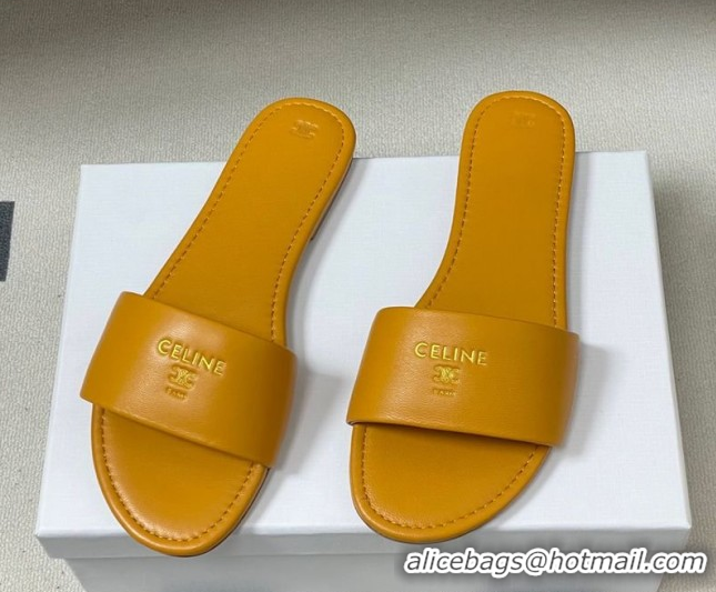 Low Cost Celine Coast Flat Slides Sandal in Lambskin Leather Orange 0227009 2026