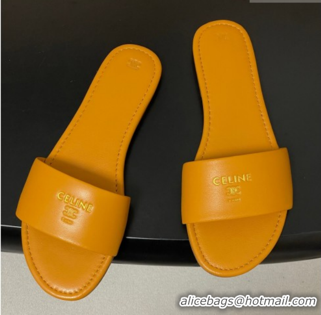Low Cost Celine Coast Flat Slides Sandal in Lambskin Leather Orange 0227009 2026