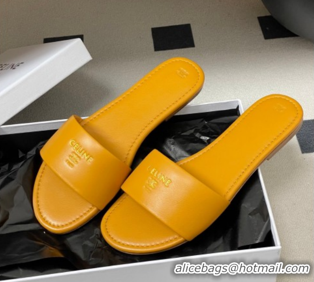 Low Cost Celine Coast Flat Slides Sandal in Lambskin Leather Orange 0227009 2026
