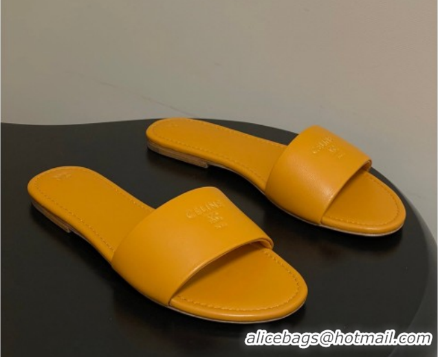 Low Cost Celine Coast Flat Slides Sandal in Lambskin Leather Orange 0227009 2026