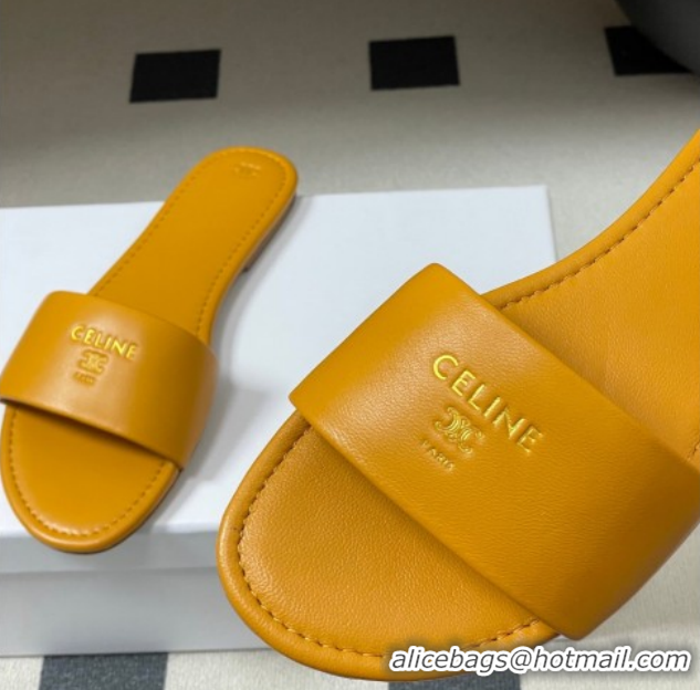 Low Cost Celine Coast Flat Slides Sandal in Lambskin Leather Orange 0227009 2026