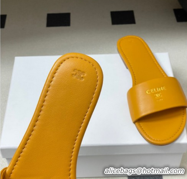 Low Cost Celine Coast Flat Slides Sandal in Lambskin Leather Orange 0227009 2026