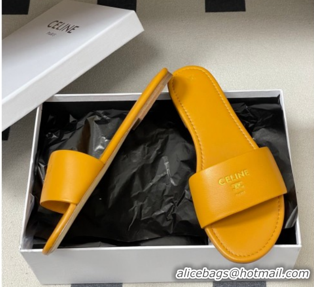 Low Cost Celine Coast Flat Slides Sandal in Lambskin Leather Orange 0227009 2026