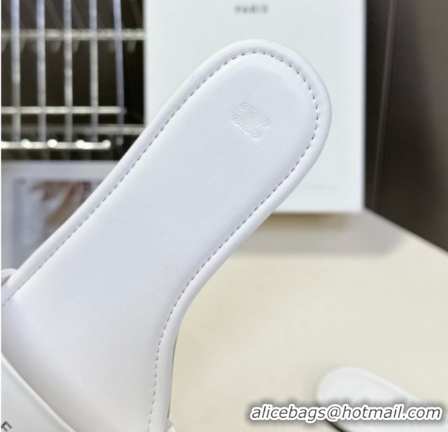 Top Grade Celine Coast Flat Slides Sandal in Lambskin Leather 0227014 White 2026