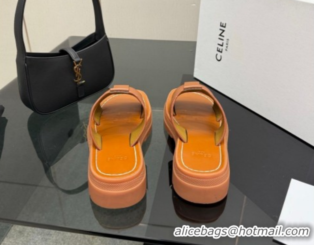 Low Price Celine Platform Slides Sandal in Calfskin Leather 0227018 Brown 2026