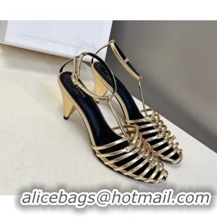 Best Grade Celine Cage Heeled Sandals 6cm in Calfskin Leather Gold 60227020 2026