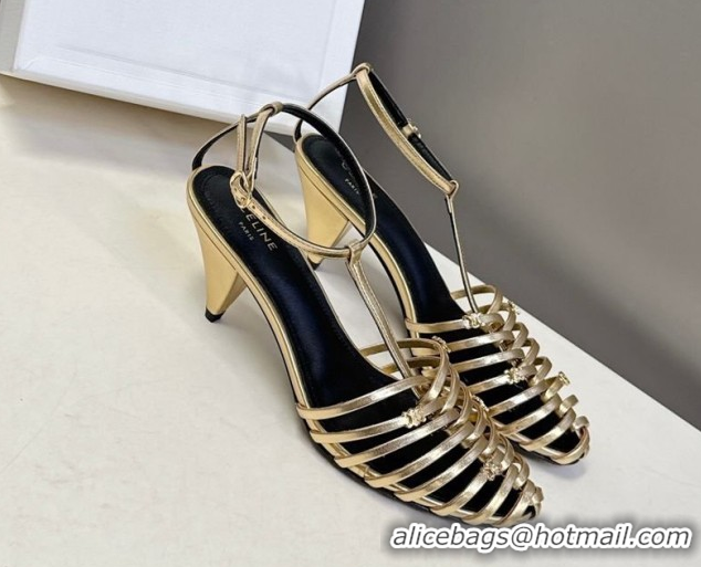 Best Grade Celine Cage Heeled Sandals 6cm in Calfskin Leather Gold 60227020 2026