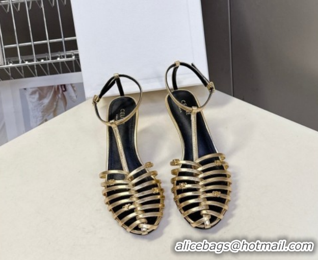 Best Grade Celine Cage Heeled Sandals 6cm in Calfskin Leather Gold 60227020 2026