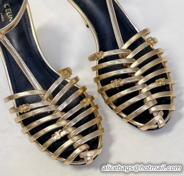 Best Grade Celine Cage Heeled Sandals 6cm in Calfskin Leather Gold 60227020 2026