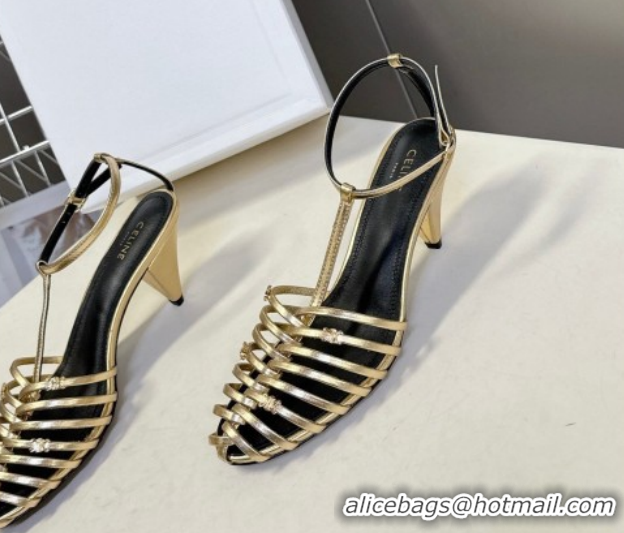 Best Grade Celine Cage Heeled Sandals 6cm in Calfskin Leather Gold 60227020 2026