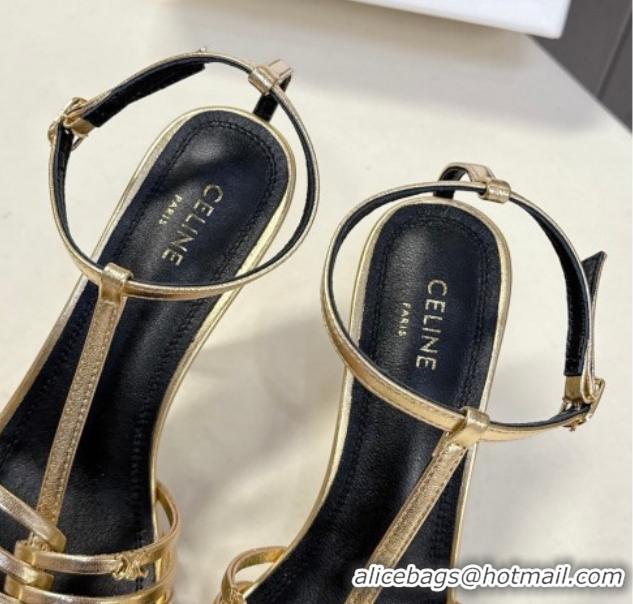 Discount Celine Cage Heeled Sandals 8cm in Calfskin Leather Gold 0227024 2026