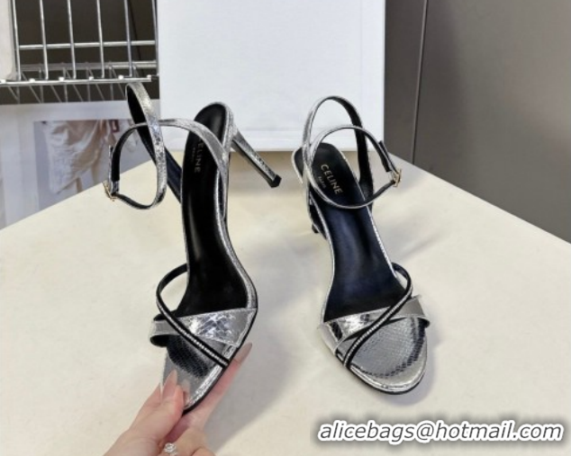 Cheap Price Celine Heeled Sandals 8cm in Embossed Leather 0227028 Silver 2026