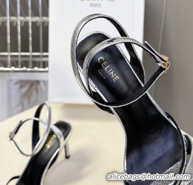 Cheap Price Celine Heeled Sandals 8cm in Embossed Leather 0227028 Silver 2026