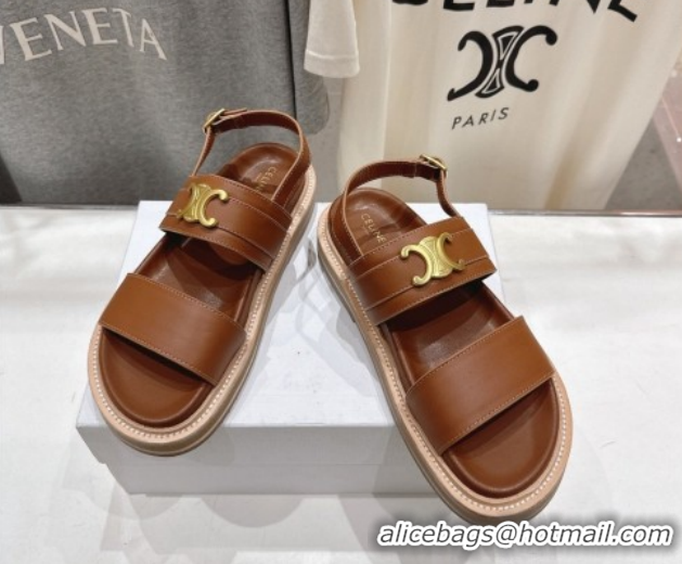 Grade Quality Celine Tippi Triomphe Flat Sandals in Calfskin Leather 0227031 Brown 2026