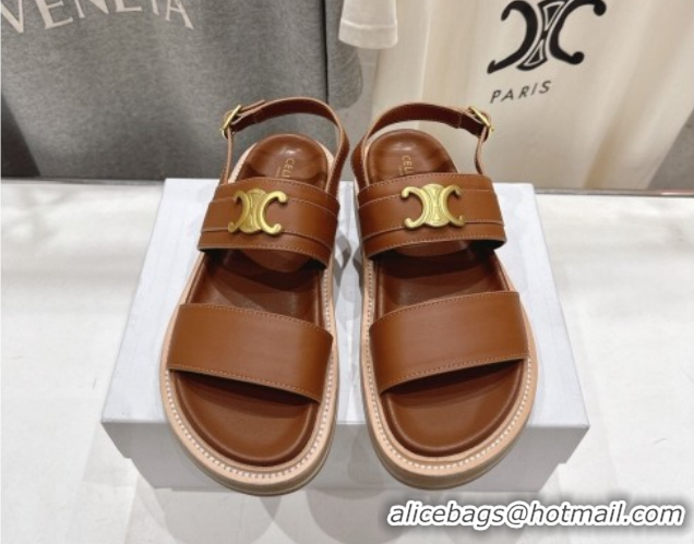 Grade Quality Celine Tippi Triomphe Flat Sandals in Calfskin Leather 0227031 Brown 2026