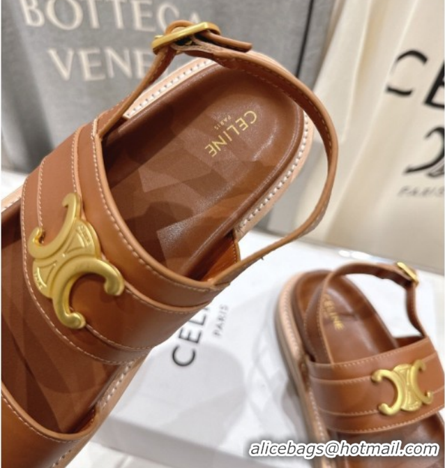 Grade Quality Celine Tippi Triomphe Flat Sandals in Calfskin Leather 0227031 Brown 2026