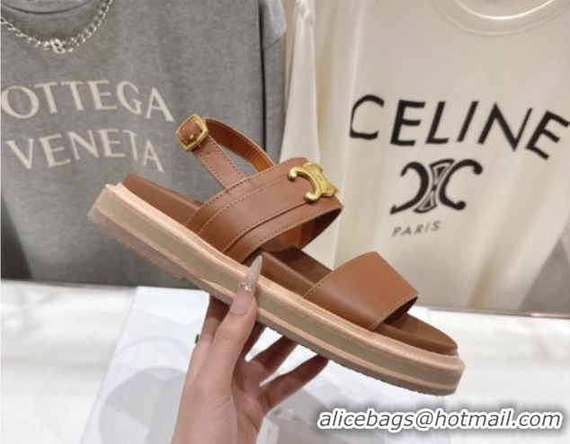 Grade Quality Celine Tippi Triomphe Flat Sandals in Calfskin Leather 0227031 Brown 2026