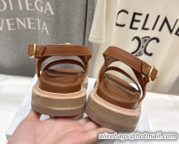 Grade Quality Celine Tippi Triomphe Flat Sandals in Calfskin Leather 0227031 Brown 2026