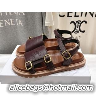 Pretty Style Celine Tippi Triomphe Flat Sandals in Calfskin Leather 0227036 Dark Brown 2026