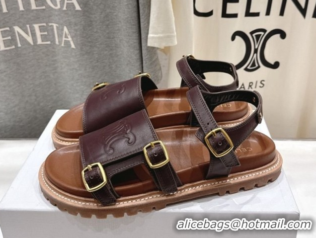 Pretty Style Celine Tippi Triomphe Flat Sandals in Calfskin Leather 0227036 Dark Brown 2026