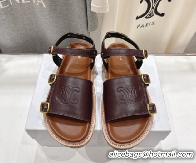 Pretty Style Celine Tippi Triomphe Flat Sandals in Calfskin Leather 0227036 Dark Brown 2026