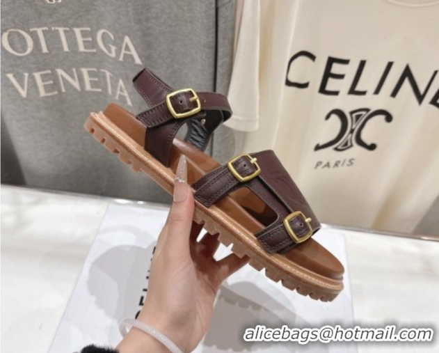 Pretty Style Celine Tippi Triomphe Flat Sandals in Calfskin Leather 0227036 Dark Brown 2026