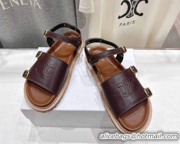 Pretty Style Celine Tippi Triomphe Flat Sandals in Calfskin Leather 0227036 Dark Brown 2026