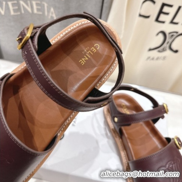 Pretty Style Celine Tippi Triomphe Flat Sandals in Calfskin Leather 0227036 Dark Brown 2026