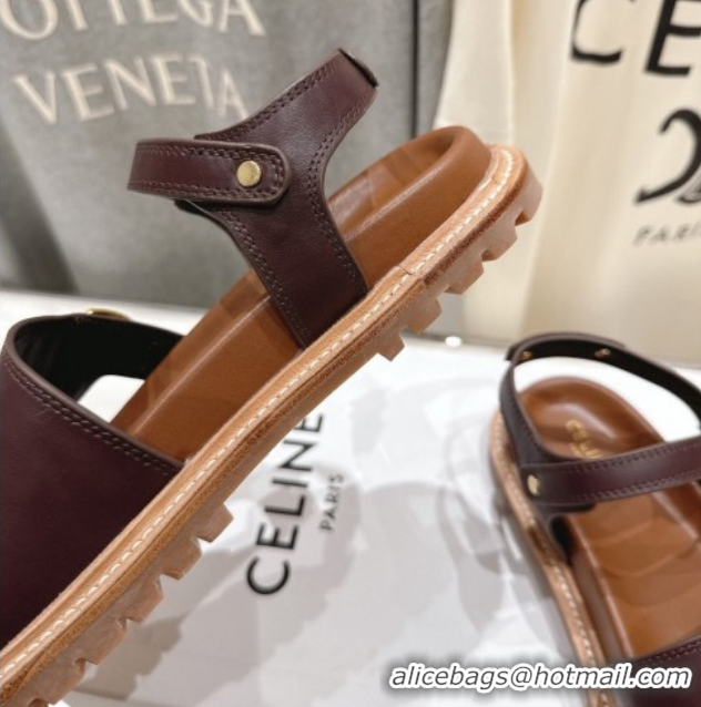 Pretty Style Celine Tippi Triomphe Flat Sandals in Calfskin Leather 0227036 Dark Brown 2026